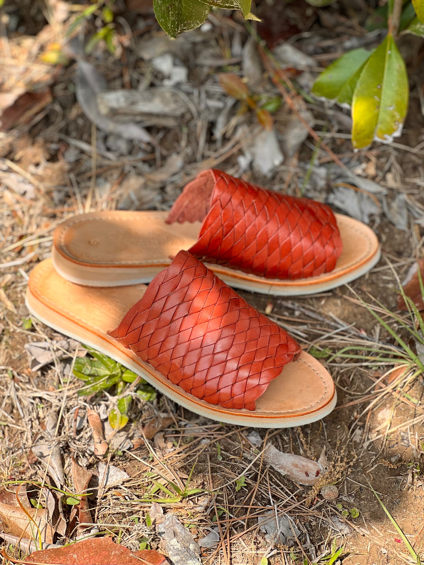 Xochitl Shedron Slip on