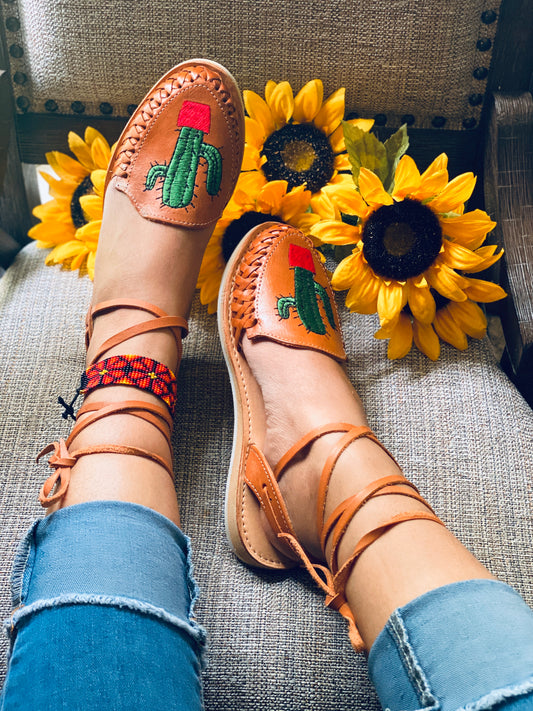 Lace up cactus 🌵