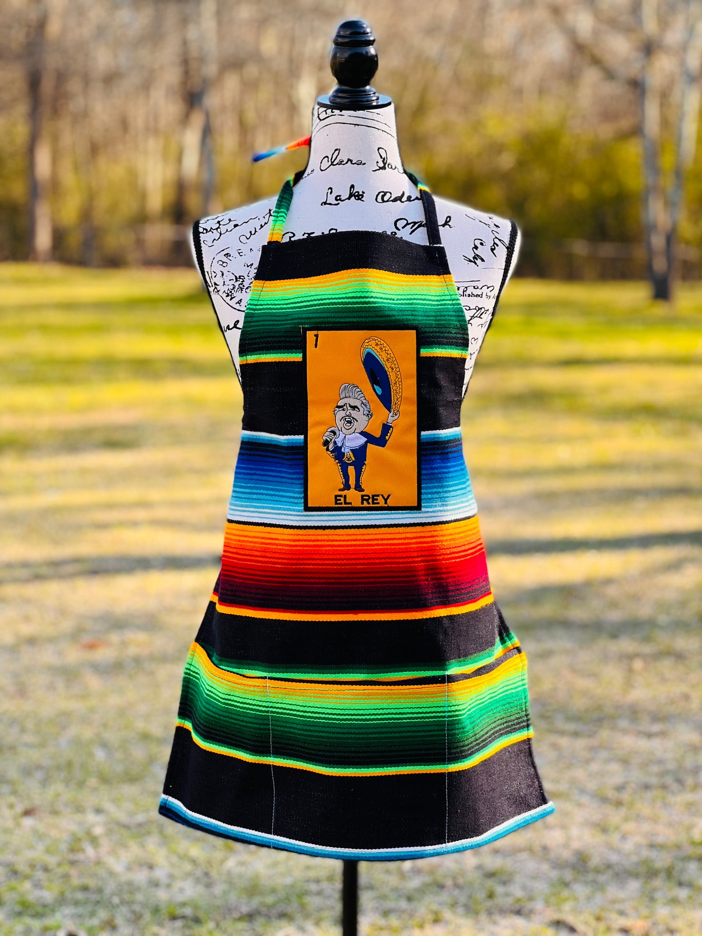 Serape Apron El Rey